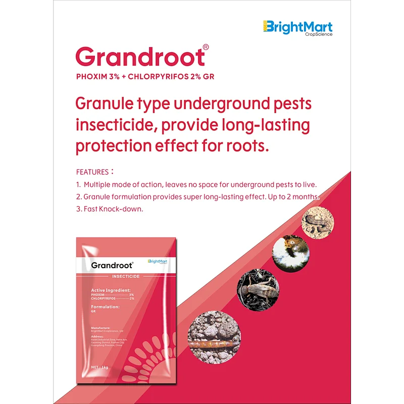 Grandroot