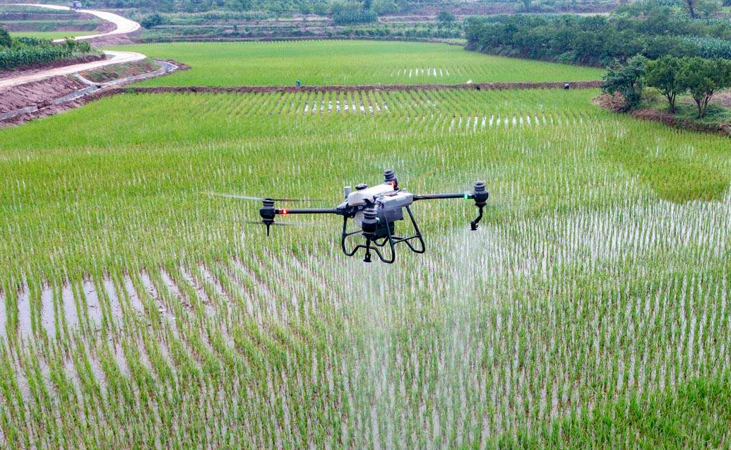 ការសាកល្បង Drone ជួយកំណត់គោលដៅថ្នាំសំលាប់ស្មៅ និងកែលម្អគុណភាពទឹក។